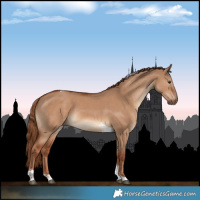 Horse Color:Red Dun Sabino Tobiano