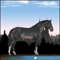 Horse Color:Black Tobiano 
