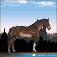 Horse Color:Liver Chestnut Tobiano 