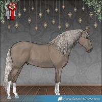 Horse Color:Silver Grullo 