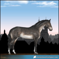 Horse Color:Brown Dun Tobiano 