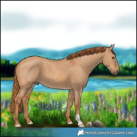 Horse Color:Red Dun