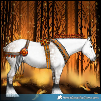 Horse Color:Gray Black Pearl Appaloosa