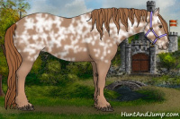 Horse Color:Chestnut Ice 