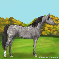 Horse Color:Smoky Grullo Ice 
