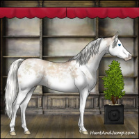 Horse Color:White Spotted Liver Chestnut Pearl Mushroom Sabino Splash 