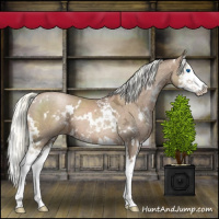 Horse Color:White Spotted Liver Chestnut Ice Pearl Mushroom Sabino Splash
