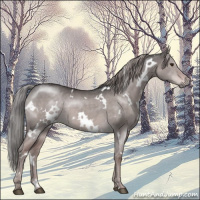 Horse Color:Platinum White Spotted Liver Red Dun 