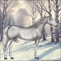 Horse Color:Platinum White Spotted Chocolate Palomino Dun 
