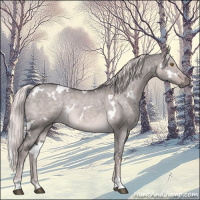 Horse Color:Platinum White Spotted Chocolate Palomino Dun 