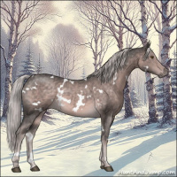 Horse Color:Platinum White Spotted Chocolate Palomino