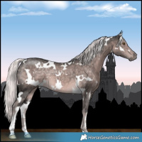 Horse Color:Platinum White Spotted Chocolate Palomino 