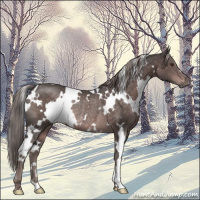 Horse Color:Platinum White Spotted Liver Chestnut Rabicano 