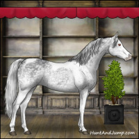Horse Color:White Spotted Silver Black Chinchilla Ice Tobiano 