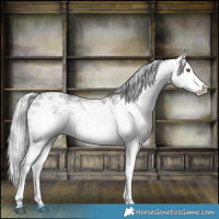 Horse Color:White Spotted Silver Black Chinchilla Ice 