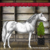 Horse Color:Silver Grullo Chinchilla Ice Tobiano Frame 