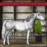 Horse Color:White Spotted Silver Grullo Chinchilla Ice Tobiano 