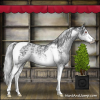 Horse Color:White Spotted Silver Black Chinchilla Ice Tobiano 