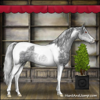 Horse Color:Silver Black Chinchilla Ice Tobiano 