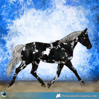 Horse Color:White Spotted Midnight Liver Chestnut Ice Mushroom 