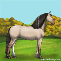 Horse Color:White Spotted Bay Roan Dun 