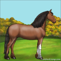 Horse Color:Bay Roan 
