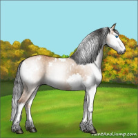 Horse Color:Gray White Spotted Bay Dun Splash 