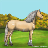 Horse Color:White Spotted Silver Buckskin Dun Tobiano 