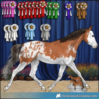 Horse Color:Bay Sabino Splash Blanket 