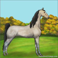 Horse Color:Bay Ice Roan Dun 