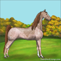 Horse Color:Chestnut Ice 