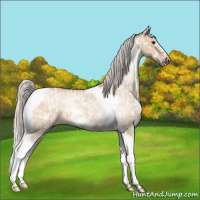 Horse Color:Silver Bay Ice Dun Tobiano  and Silver Brown Ice Roan Dun Tobiano Frame 