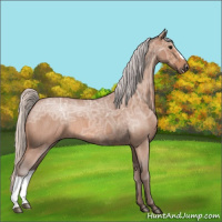Horse Color:Silver Bay Ice Roan 