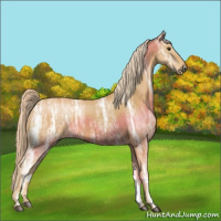 Horse Color:Palomino Ice 
