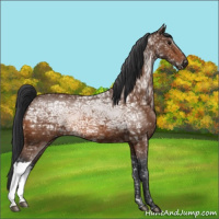Horse Color:Bay Ice 
