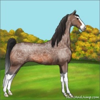 Horse Color:Bay Ice Splash 
