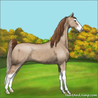Horse Color:Red Dun Ice Splash 