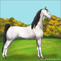 Horse Color:Bay Ice Roan Dun 