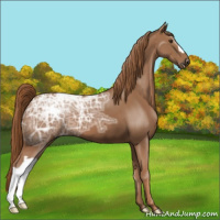Horse Color:Chestnut Ice 
