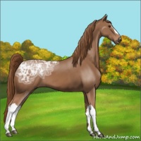 Horse Color:Chestnut Ice 