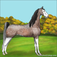 Horse Color:Bay Ice Splash 
