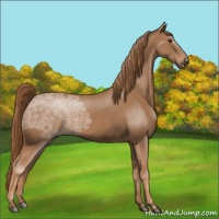 Horse Color:Chestnut Ice 