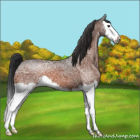 Horse Color:Bay Ice Splash 