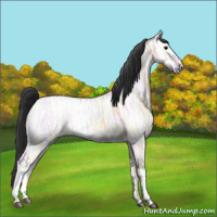 Horse Color:Bay Ice Roan Dun 