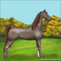 Horse Color:Chestnut Ice 