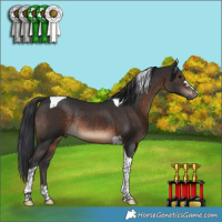 Horse Color:Brown Tobiano Rabicano