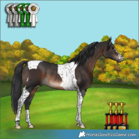Horse Color:Brown Tobiano Rabicano 