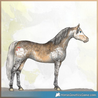 Horse Color:Silver Buckskin Splash Tobiano Rabicano
