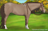 Horse Color:Classic Champagne 