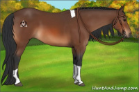 Horse Color:Bay Tobiano Rabicano 